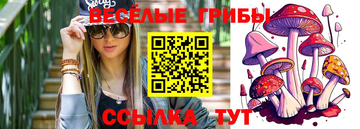 Галлюциногенные грибы Psilocybe  Вход с VPN  Самара 